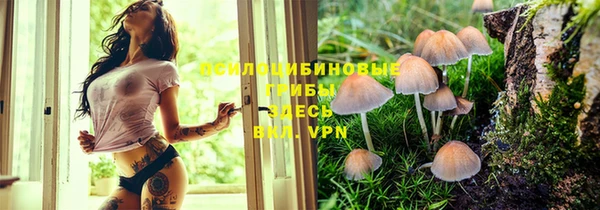 героин Верея