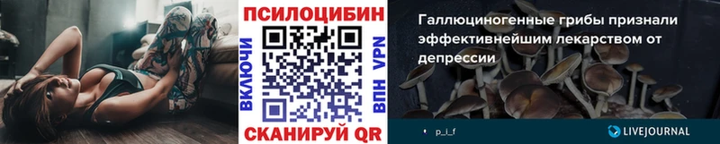 Галлюциногенные грибы мицелий  Верхняя Тура 
