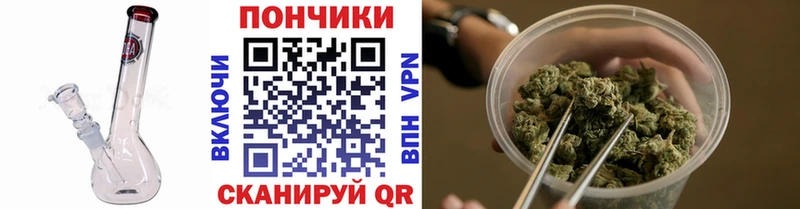 Бошки Шишки OG Kush  где продают   Верхняя Тура 